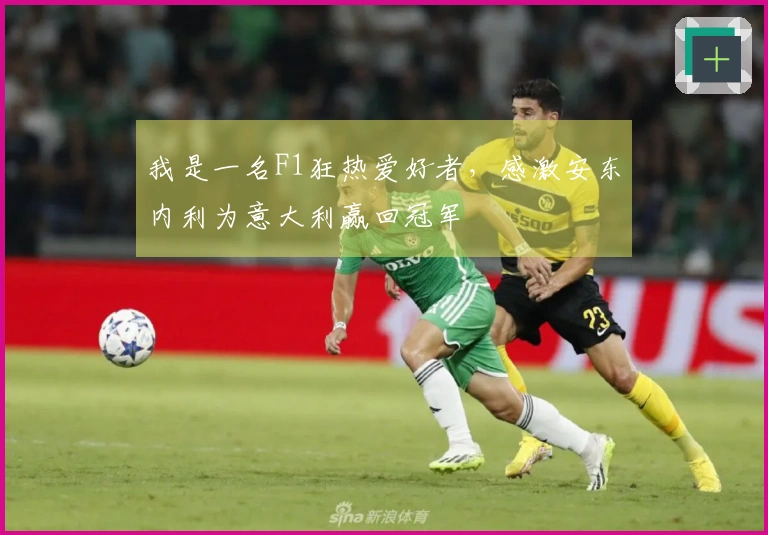 我是一名F1狂热爱好者，感激安东内利为意大利赢回冠军