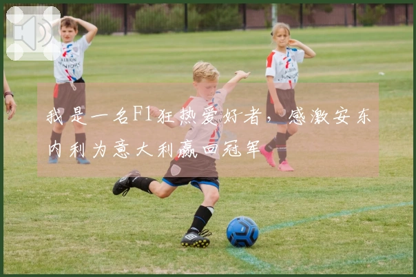 我是一名F1狂热爱好者，感激安东内利为意大利赢回冠军